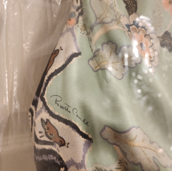 🔥 ROBERTO CAVALLI 🔥Runway Cheongsam Chinoiserie Silk Floral Mini Dress S RARE! - Picture 6 of 13